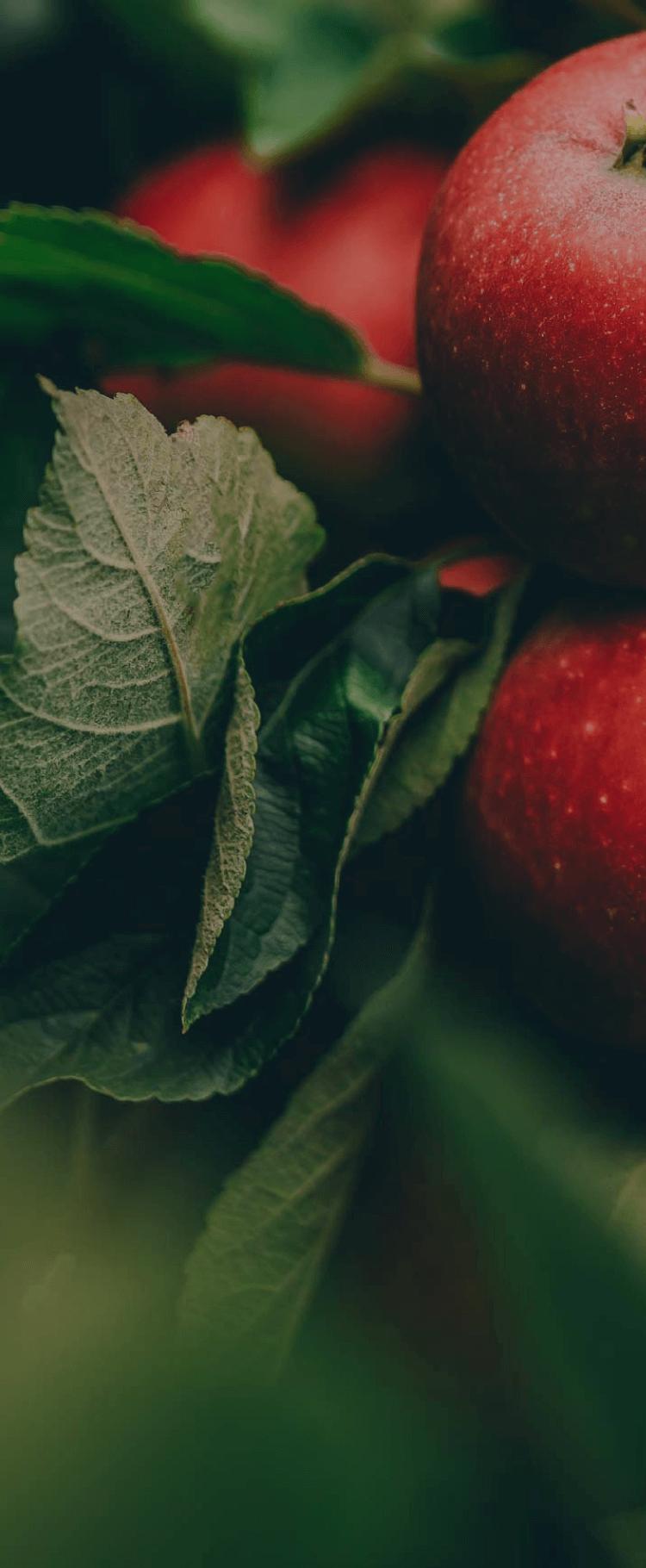 Качество, удобство и&nbsp;комфорт для&nbsp;покупателя